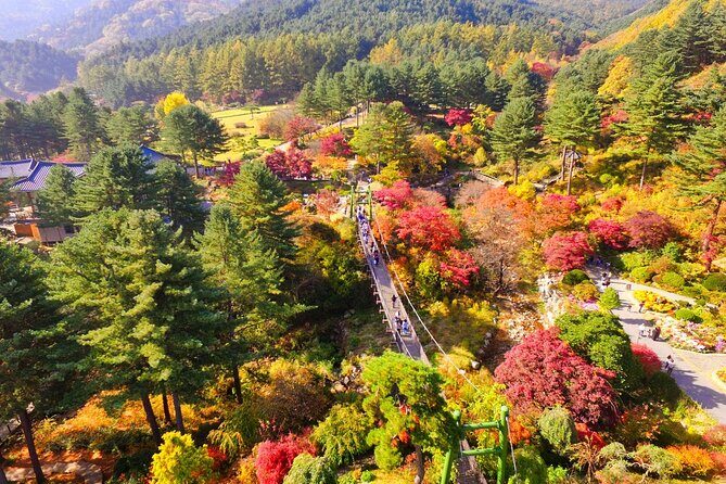 Alpaca World Tour with Nami Island (optional Railbike or Garden) - Stop 2: Nami Island for walking time, bike time, and easy photos