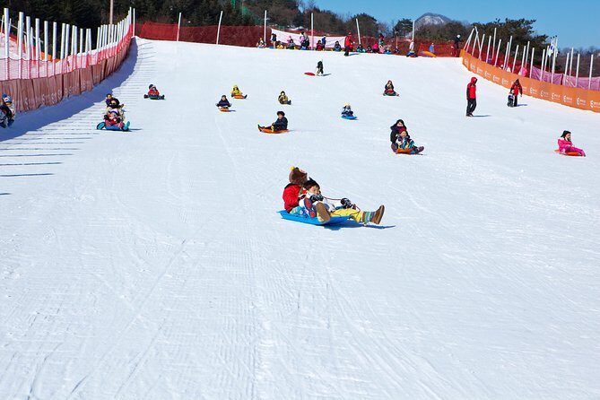 Elysian Gangchon Winter Ski with Nami Island Day Tour from Seoul - Smart Packing for Gloves and Safety Extras
