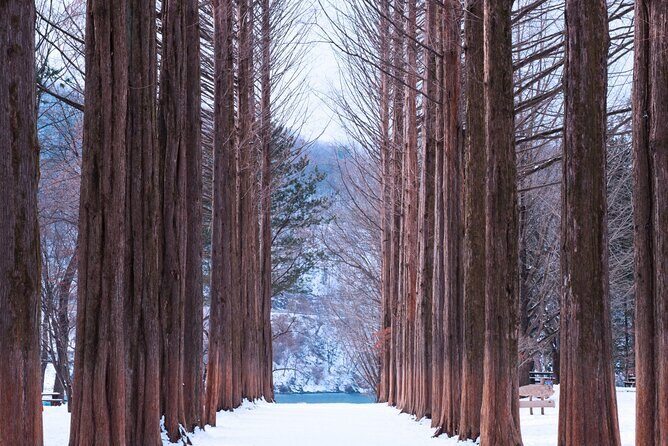 Eobi Valley(Winter), Strawberry, Nami Island & Railbike fr Seoul - Getting From Central Seoul: Transport, Timing, and a Mobile Ticket