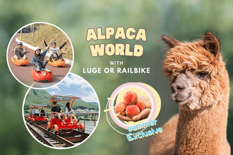 From Seoul: Full Day Trip to Alpaca Farm with Rail Bike - Choosing your thrill: luge at Vivaldi or a rail bike by Bukhan River