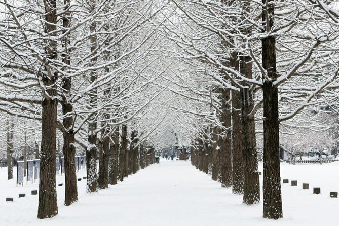 Full-Day Customizable Private Tour to Nami Island and surrounding Area - Nami Island: how to time your walking so it stays fun