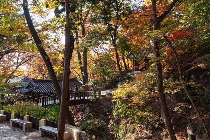 Jisan Forest Ski Resort and Everland 1 Day Tour - How to Use Your Everland 5 Hours Without Burning Time