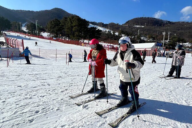 Jisan Ski Resort from Seoul by Shuttle(Opt Winter Skiing Package) - Cheongha Plus: a red pine capsule stop on the return