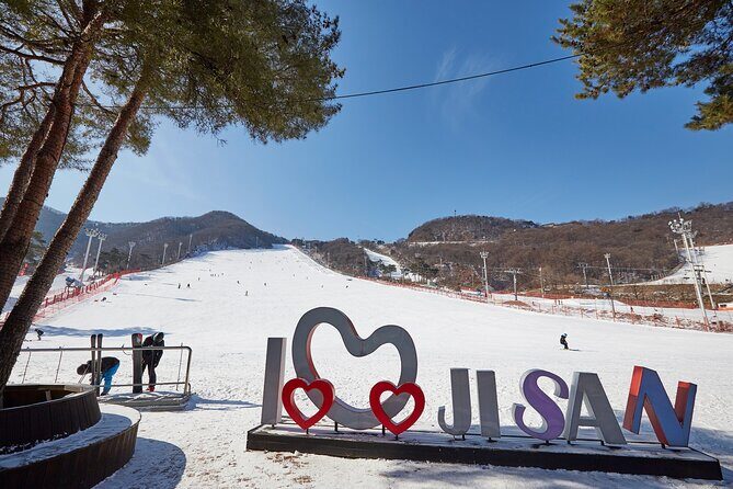 Korea Ski Tour from Seoul - Jisan Resort with Isaac Toast - Key points to know before you go