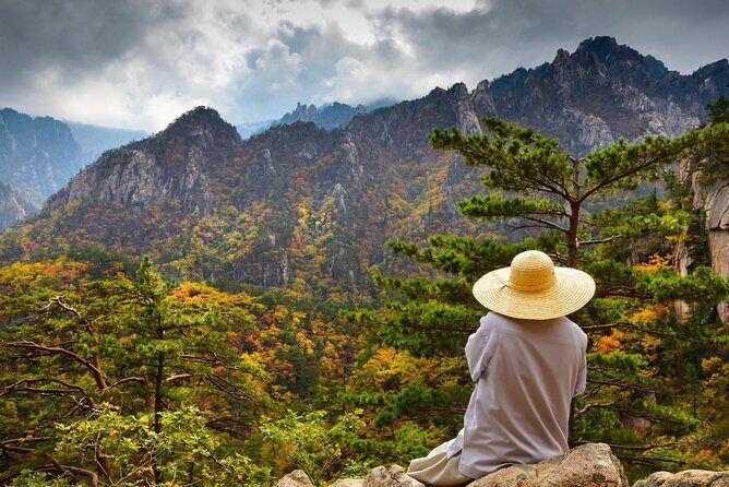 Mount Seorak and Naksansa Temple One Day Tour from Seoul - Quick hits before you go