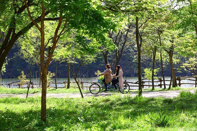 Mount Seorak and Nami Island One Day Tour from Seoul - Practical tips to get the most out of the day