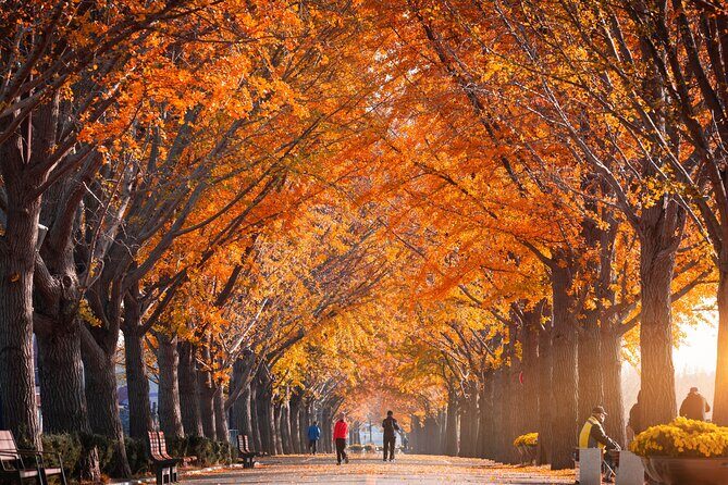 Naejangsan National Park Autumn Foliage One Day Tour from Seoul - Morning breakfast and briefing before the foliage chase