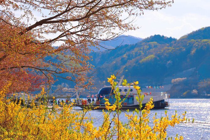 Nami Island and Begonia Bird Park Tour from Seoul (opt Railbike) - Price and value: why this bundle makes sense at $58.20