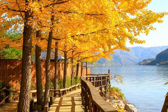 Nami Island and Begonia Bird Park Tour from Seoul (opt Railbike) - Who should book this Seoul to Nami and Bird Park tour