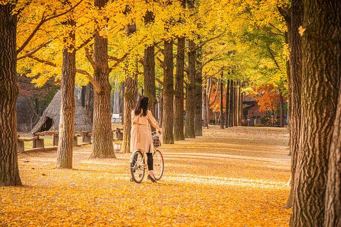 Nami Island and Begonia Bird Park Tour from Seoul (opt Railbike) - Nami Island: 3.5 hours on the Winter Sonata tree-lined paths