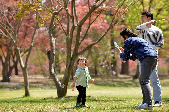 Nami Island and Petite France & Italian Village Day Trip from Seoul - Price and Value: Why $55.24 Often Feels Like a Deal