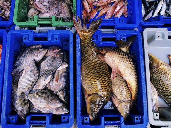 Noryangjin Fish Market Dinner - Key takeaways before you go