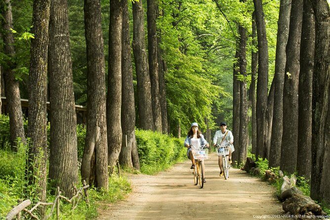 One Day Private Tour-Nami, Petite and Garden of Morning Calm - What to expect as a private tour group