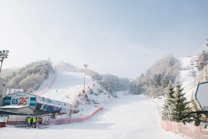 [Private Tour] Nami Island & Snow Viewing and Snow sled (More Members Less Cost) - Timing, Travel Time, and What to Pack (So the Day Feels Fun)