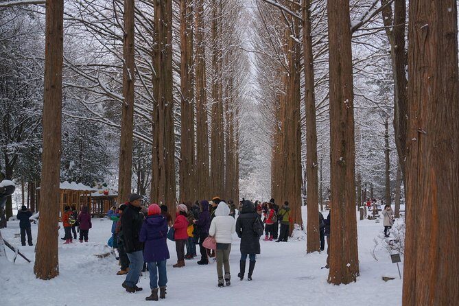 Private Tour Nami Island with Petite France 'and/or' The Garden of Morning Calm - How the Day Works: 8–10 Hours, With Real Time for Each Stop