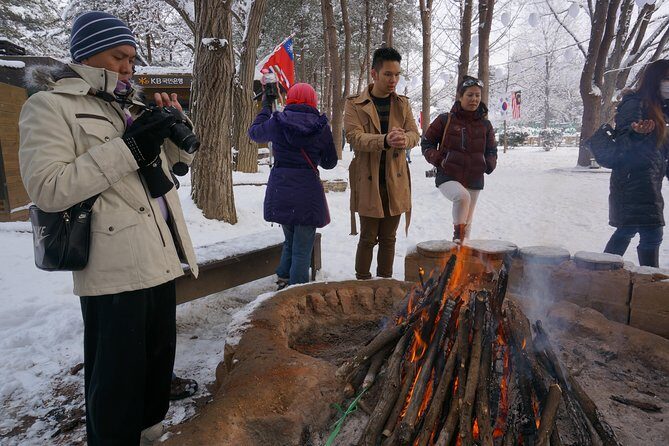 Private Tour Nami Island with Petite France 'and/or' The Garden of Morning Calm - Getting the Best Day: Practical Tips Before You Book
