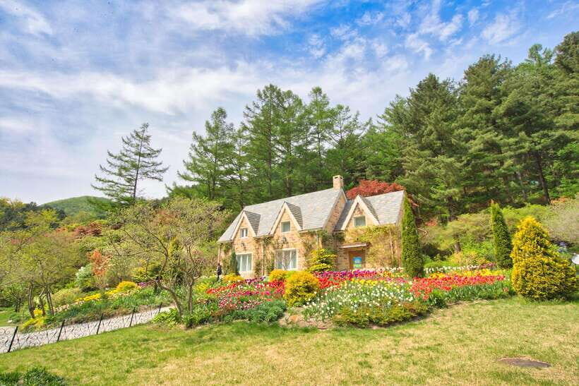 Seoul: Alpaca World and Nami Island (with Garden / Railbike) - Key things to know before you go