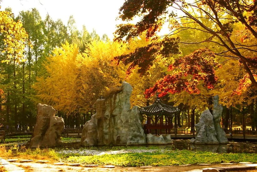 Seoul: Alpaca World and Nami Island (with Garden / Railbike) - Who this tour suits best (and who should skip it)