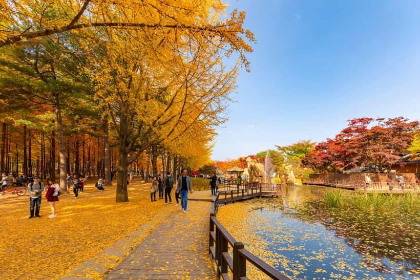 Seoul: Alpaca World & Nami Island optional Gangchon Railbike - Gangchon Rail Park Railbike: The Optional Pedal Ride
