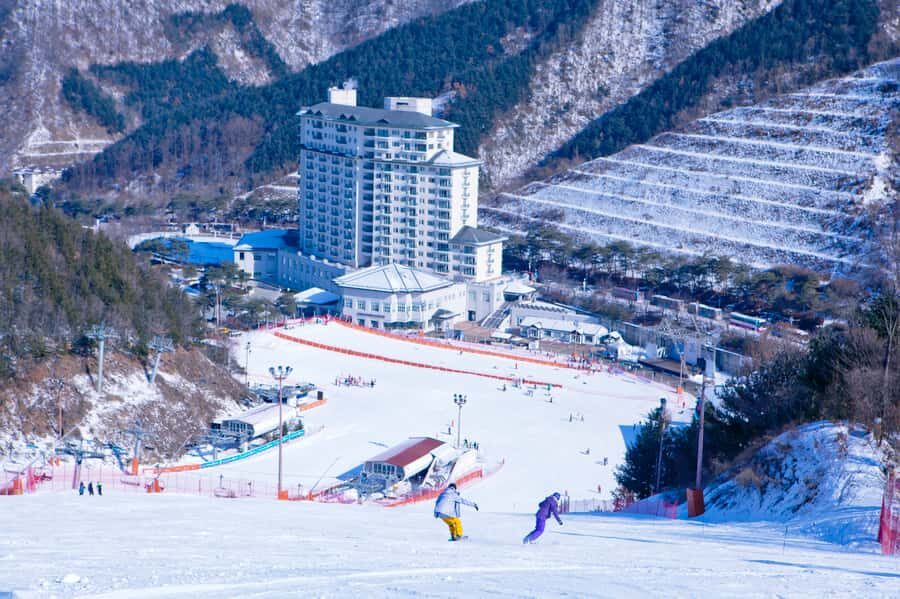Seoul: Elysian Gangchon Winter Ski Resort Fun Day Tour - Free Time From Around 11:30 to 4:00: Don’t Rush It