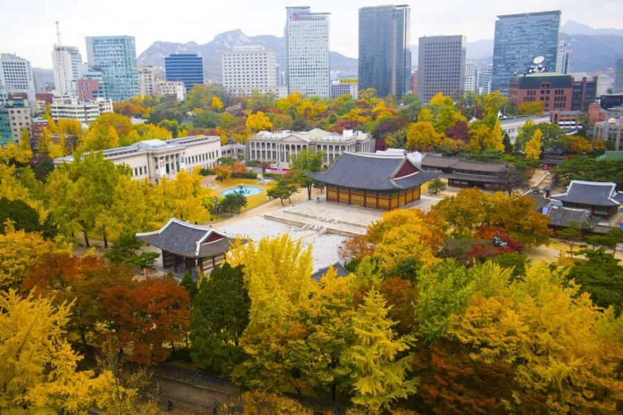 Seoul: Highlights of Seoul Half-Day Tour - Deoksugung Palace and the 11:00 Royal Guard Ceremony