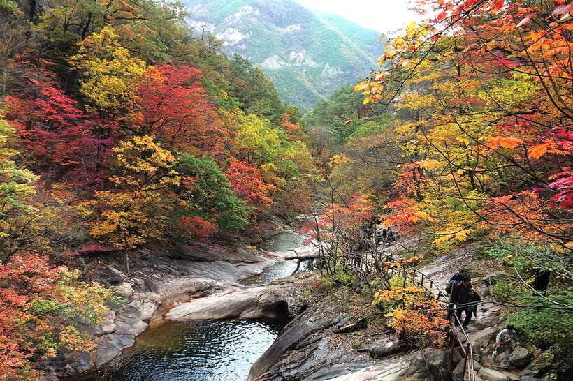 Seoul: Mt.Seorak(+CableCar Option)+Sokcho Fish Market&Beach - Time, cost, and value: is $68 a fair deal for all this?