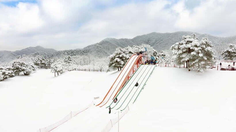 Seoul: Vivaldi Park Winter Ski with Eobi Ice Valley Day Tour - One day, two winter worlds: Eobi Ice Valley + Vivaldi Park