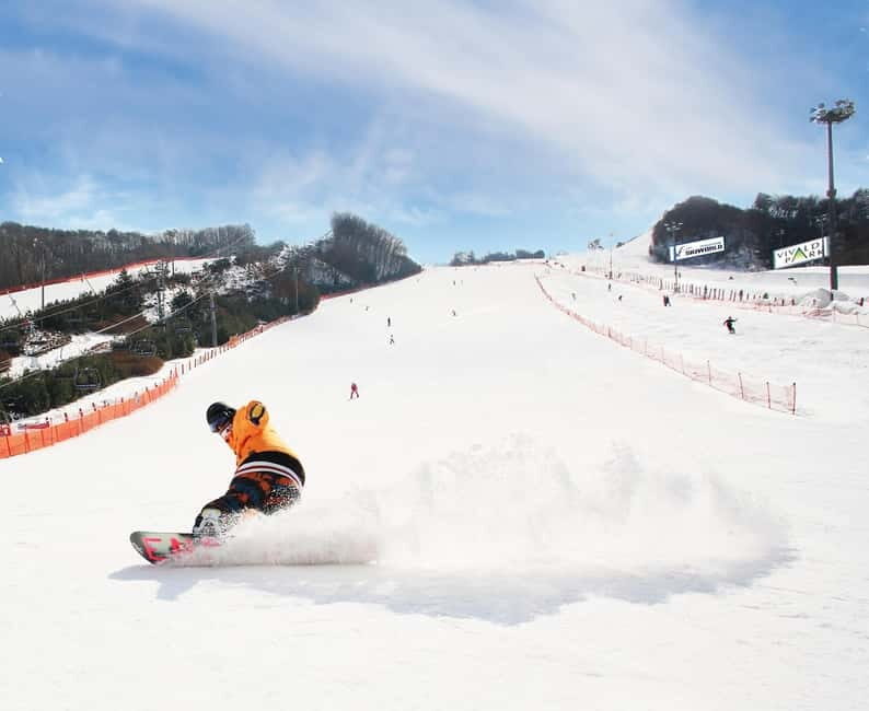 Seoul: Vivaldi Park Winter Ski with Nami Island Day Tour - Who Should Book This Tour, and Who Might Pass