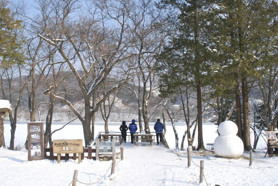 Seoul: Vivaldi Park Winter Ski with Nami Island Day Tour - Vivaldi Park Ski World at 9:30 AM: Fitting, Safety Briefing, and Your First Turns