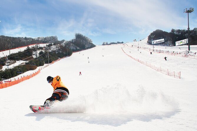 Vivaldi Park Winter Ski Resort with Nami Island Tour from Seoul - A full winter day from Seoul, built around two very different vibes