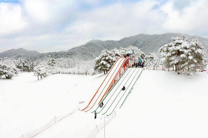 Vivaldi Park Winter Ski Resort with Nami Island Tour from Seoul - Timing and transport: what a 12–13 hour day feels like