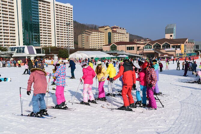 Vivaldi Park Winter Ski with Eobi Ice Valley Day Tour from Seoul - Who This Tour Suits Best (And Who Should Skip It)
